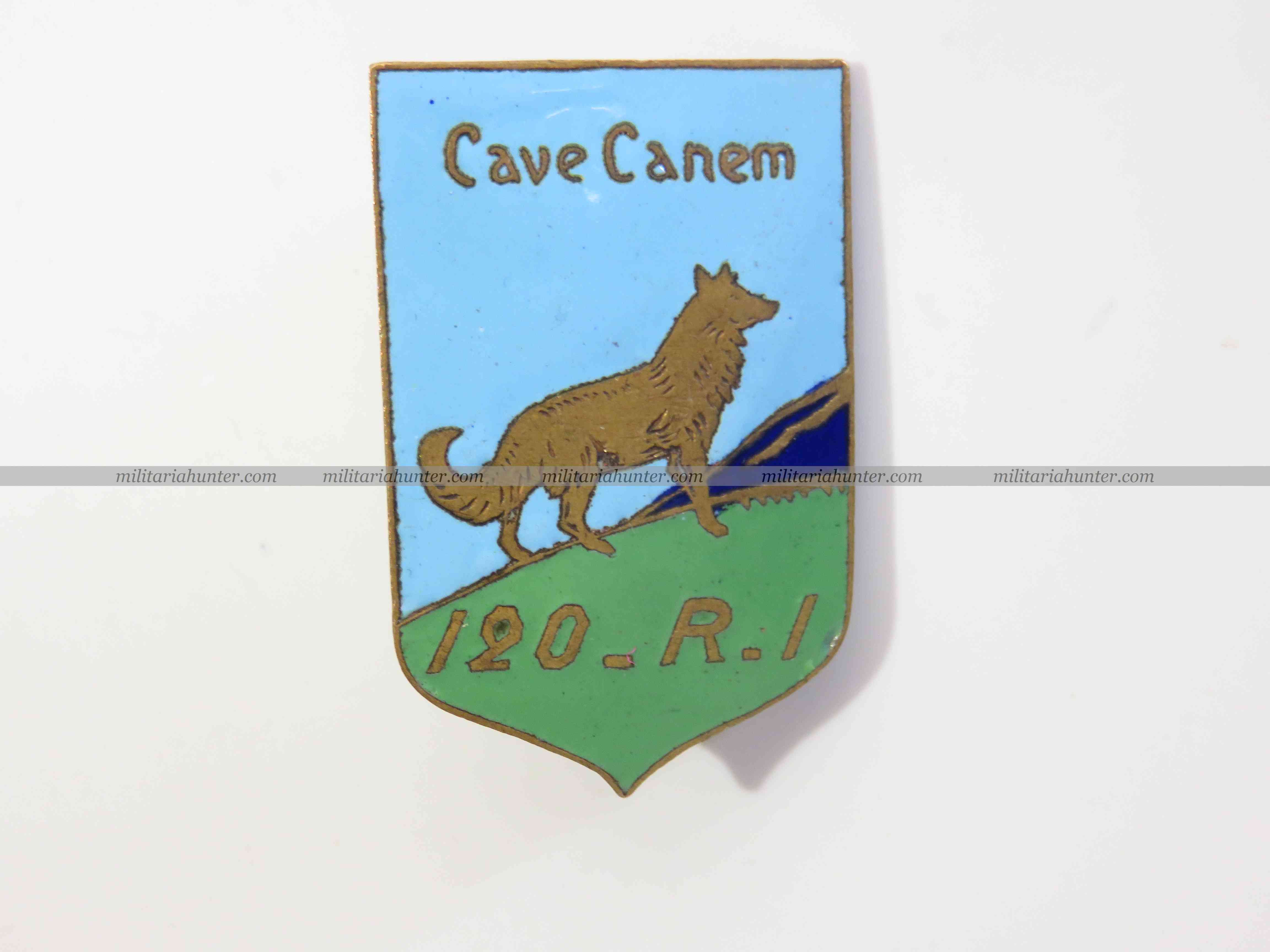 militaria : France 40 - insigne du 120e RI Cave Canem