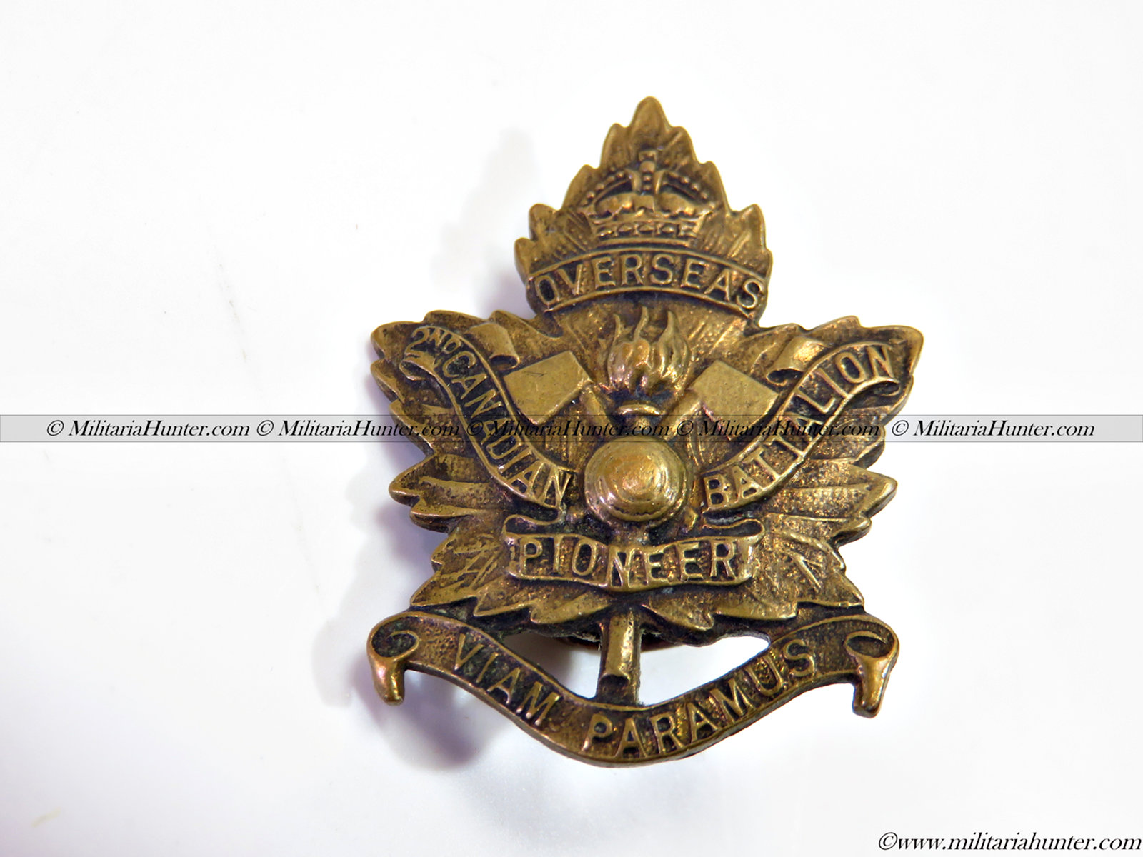 militaria : ww1 CEF 2nd Canadian Pioneer Battalion collar badge